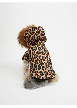 Paws&amp;Whiskers Bluza w kolorze jasnobrązowym dla psa ze sklepu Limango Polska w kategorii Dla zwierząt - zdjęcie 188813368