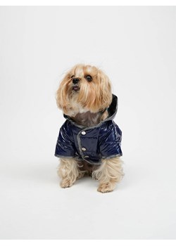 Paws&amp;Whiskers Bluza w kolorze granatowym dla psa ze sklepu Limango Polska w kategorii Dla zwierząt - zdjęcie 188813538