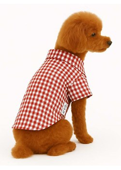 Paws&amp;Whiskers Bluza w kolorze brązowym dla psa ze sklepu Limango Polska w kategorii Dla zwierząt - zdjęcie 188813726