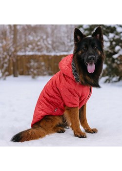 Paws&amp;Whiskers Bluza w kolorze czerwonym dla psa ze sklepu Limango Polska w kategorii Dla zwierząt - zdjęcie 188813729