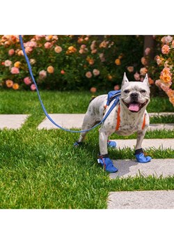 Paws&amp;Whiskers Buty w kolorze niebieskim dla psa ze sklepu Limango Polska w kategorii Dla zwierząt - zdjęcie 188813776
