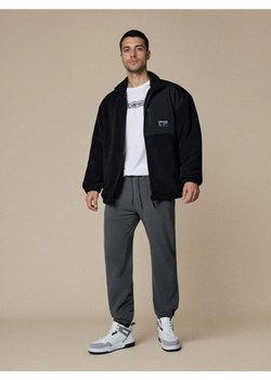 Sinsay - Spodnie jogger - szary ze sklepu Sinsay w kategorii Spodnie męskie - zdjęcie 188874445