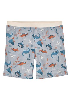 Playshoes Szorty kąpielowe "Dino" w kolorze szarym ze wzorem ze sklepu Limango Polska w kategorii Kąpielówki chłopięce - zdjęcie 188880746