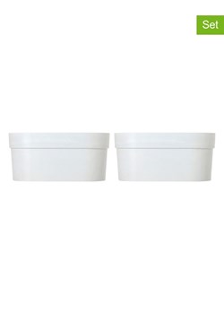 Vigar Doniczki (2 szt.) "Urban garden" w kolorze szarym - 37 x 17 x 16 cm ze sklepu Limango Polska w kategorii Doniczki i osłonki - zdjęcie 188884059