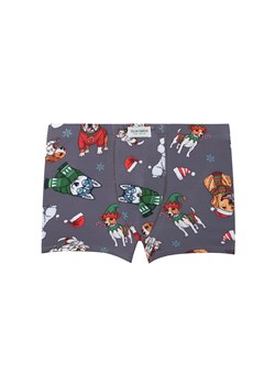 Bokserki chłopięce Husky ze sklepu italianfashion w kategorii Majtki dziecięce - zdjęcie 188981849