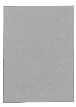 Hanse Home Dywan "Nasty" w kolorze srebrnym ze sklepu Limango Polska w kategorii Dywany - zdjęcie 189049235