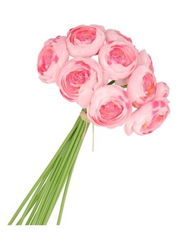 daan kromhout Dekoracyjny bukiet "Ranunculus" w kolorze jasnoróżowo-zielonym - wys. 32 cm ze sklepu Limango Polska w kategorii Doniczki i osłonki - zdjęcie 189060319