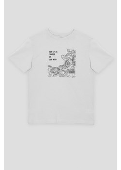 Szary T-shirt z nadrukiem z przodu, Rozmiar - 146, Kolor - Szary ze sklepu REPORTER w kategorii T-shirty chłopięce - zdjęcie 189106355