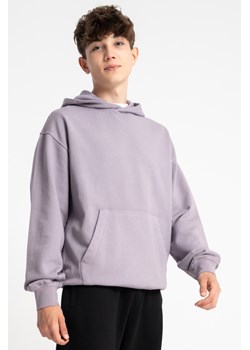 Jasnofioletowa bluza REGULAR z kapturem bez nadruków, Rozmiar - 146, Kolor - Fioletowy ze sklepu REPORTER w kategorii Bluzy chłopięce - zdjęcie 189109616