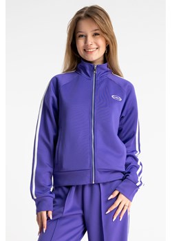 Fioletowa bluza z kontrastowymi lampasami na rękawach, Rozmiar - 140, Kolor - Fioletowy ze sklepu REPORTER w kategorii Bluzy dziewczęce - zdjęcie 189110819