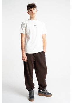 Brązowe spodnie dresowe OVERSIZE bez nadruków, Rozmiar - 146, Kolor - Brązowy ze sklepu REPORTER w kategorii Spodnie chłopięce - zdjęcie 189111078