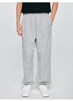 Spodnie chłopięce dresowe szare Polis 901 ze sklepu Big Star w kategorii Spodnie chłopięce - zdjęcie 189128189