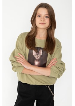 Oliwkowa bluza dresowa z nadrukiem z motywem kota, Rozmiar - 152, Kolor - Zielony ze sklepu REPORTER w kategorii Bluzy dziewczęce - zdjęcie 189208397