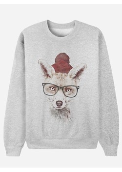 WOOOP Bluza "Pretty Cool Outside" w kolorze szarym ze sklepu Limango Polska w kategorii Bluzy damskie - zdjęcie 189251428