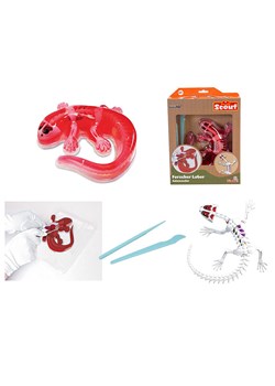 Simba Zestaw "Salamander" do eksperymentowania - 6+ (produkt niespodzianka) ze sklepu Limango Polska w kategorii Zabawki - zdjęcie 189252138