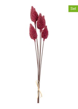 LEONARDO Sztuczne rośliny (2 szt.) "Sea Holly" w kolorze czerwonym - dł. 65 cm ze sklepu Limango Polska w kategorii Doniczki i osłonki - zdjęcie 189252455