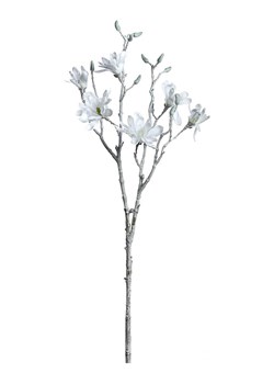 LEONARDO Sztuczna roślina "Palazzo" w kolorze białym - dł. 85 cm ze sklepu Limango Polska w kategorii Doniczki i osłonki - zdjęcie 189252486