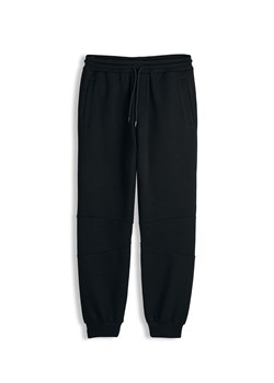 GATE S ze sklepu gateshop w kategorii Spodnie męskie - zdjęcie 189273136