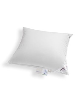 Schäfer Poduszka "Carpe noctem - Medium" w kolorze srebrnym ze sklepu Limango Polska w kategorii Poduszki dekoracyjne - zdjęcie 189357837