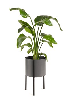 Lifa Living Stojak "Delphine" w kolorze szarym na rośliny - wys. 50 cm ze sklepu Limango Polska w kategorii Doniczki i osłonki - zdjęcie 189378368