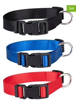 Edco Obroże (3 szt.) w różnych kolorach dla psa - (produkt niespodzianka) ze sklepu Limango Polska w kategorii Dla zwierząt - zdjęcie 189382497