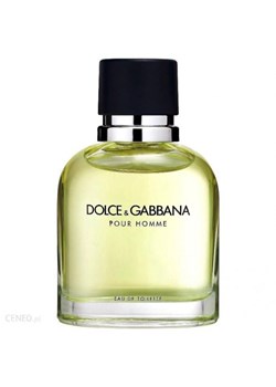 Dolce & Gabbana Pour Homme Woda Toaletowa 125ml TESTER