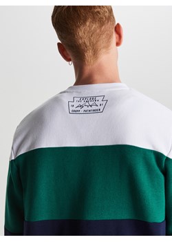 Bluza męska wielokolorowa Cropp w nadruki 