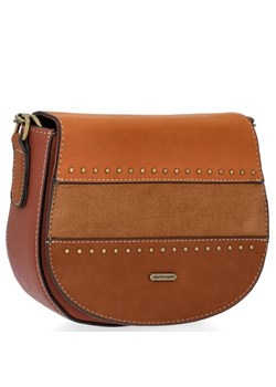 Listonoszka David Jones - PaniTorbalska